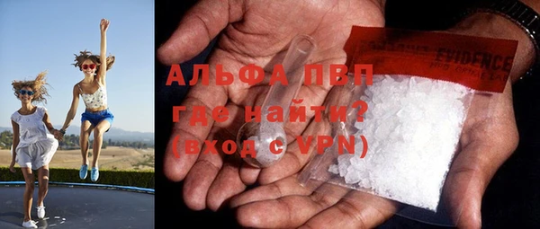 гидра Волоколамск