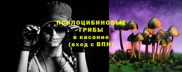 гидра Волоколамск