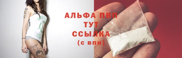 шишки Володарск