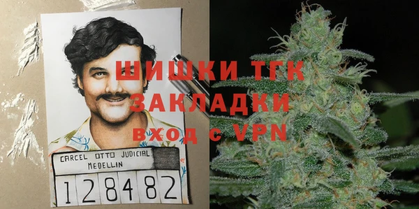 гидра Волоколамск