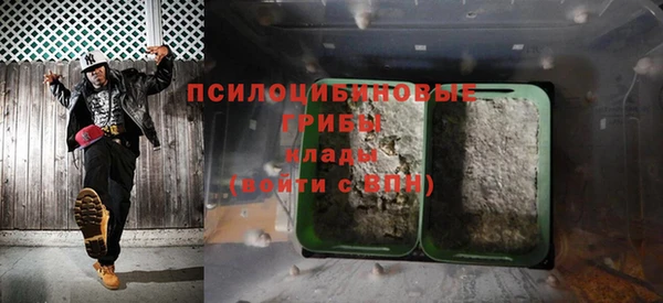 гидра Волоколамск