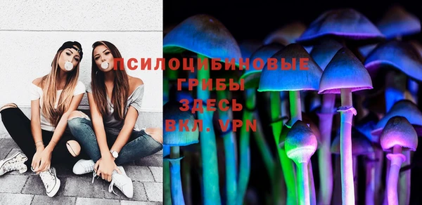 шишки Володарск